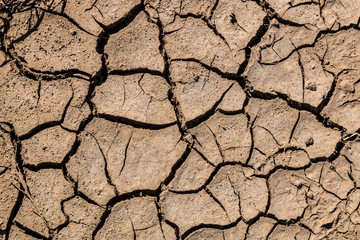 Background of dried, cracked brown mud.  