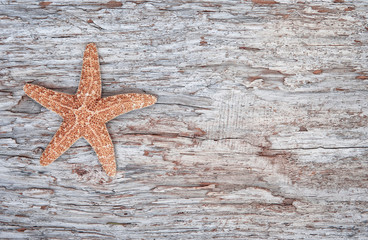 Seashell on the old wooden background