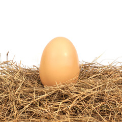 Eggs in a nest on a white background