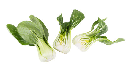 Pok Choi on white background