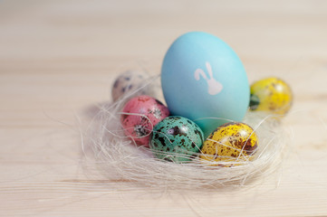 Easter painted eggs in nest. Bunny silhouette on a egg