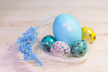 Easter eggs in nest. Bunny silhouette on a egg