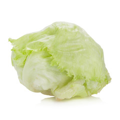 Green Iceberg lettuce on White Background