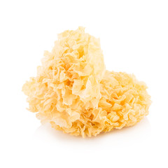 Chinese food tremella fuciformis white fungus isolated