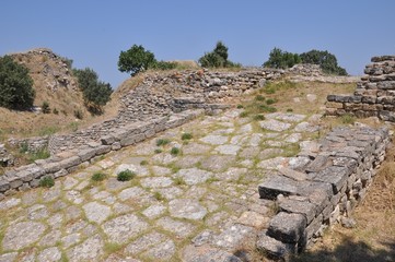 Ruins of Troy