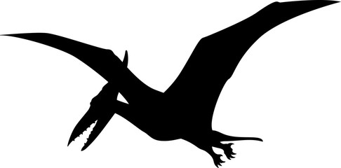 Pterodactyl vector silhouette © heitorjose