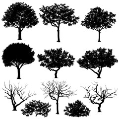 Obraz premium Zestaw drzew w sylwetki. Również w formacie wektorowym. Twórz o wiele więcej kształtów drzew z dolnego rzędu liści i drzew.