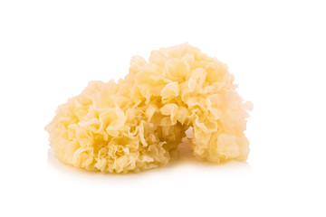 Chinese food tremella fuciformis white fungus isolated