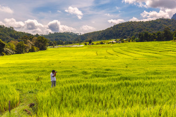 Fototapeta na wymiar Young man photographer take a photo green terraced rice field in Mae Klang Luang , Mae Chaem, Chiang Mai, Thailand