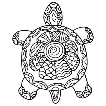  Drawing zentangle turtle,