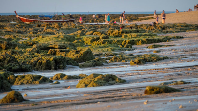 Low tide impressions with green rocks and corals on a beach on koh lanta with fishing boat and people enjoying the beach in the background.