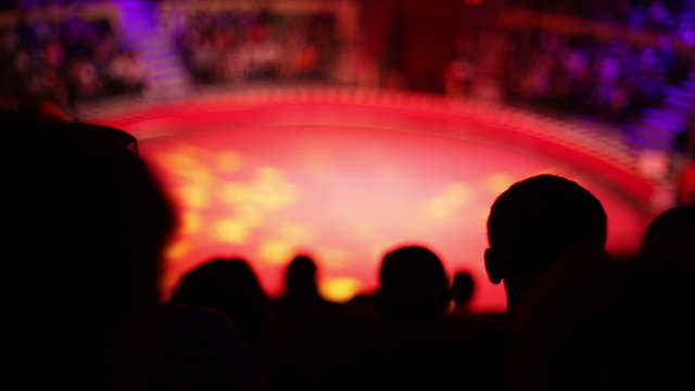 The silhouettes of the audience at the circus during the performance
