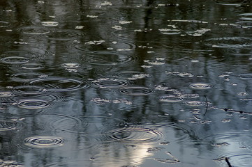 Pond at park in slight rain, Sofia, Bulgaria  