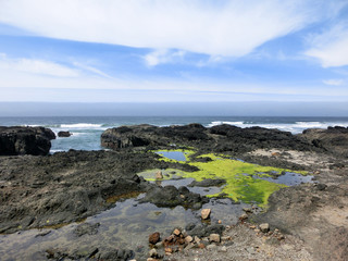 Fototapeta na wymiar Pacific ocean cost tidal pools with algae in summer - landscape color photo