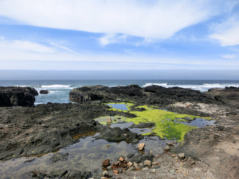 Pacific ocean cost tidal pools with algae in summer - landscape color photo