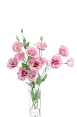 bunch of pink eustoma flowers in glass vase isolated on white