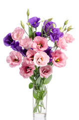 Obraz na płótnie Canvas bunch of violet and pink eustoma flowers in glass vase isolated