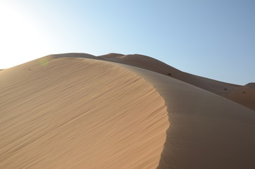 Fototapeta na wymiar Sand dune crest in back light, Oman, empty quarter