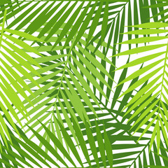 Palm leaf silhouettes seamless pattern. Tropical leaves. Vector illustration