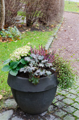 one lovely garden pots with flower