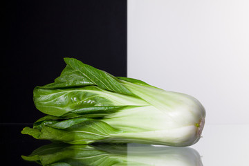 Single Chinese cabbage isolated on black and white background
