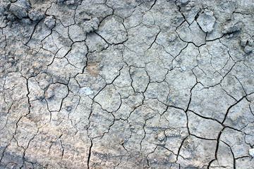 cracked Earth surface
