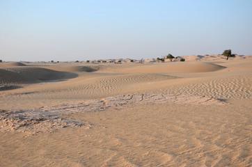 Fototapeta na wymiar Broken sand floor and dunes in Oman