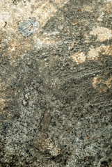 Cement Texture