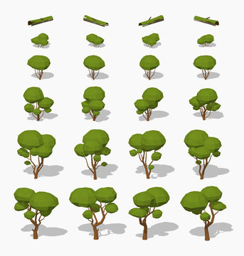 Low poly green trees. 3D lowpoly isometric vector illustration. The set of objects isolated against the white background and shown from different sides