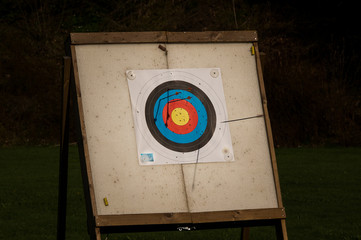 Arrow hitting the target © ConnySkogberg
