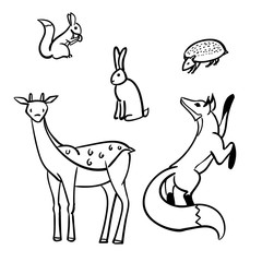 Woodland animals