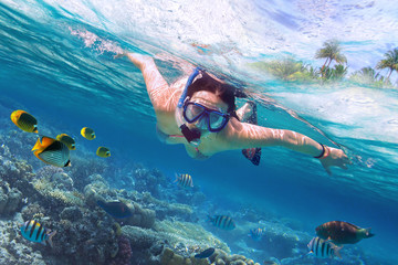 Beautiful women snorkeling in the tropical sea - obrazy, fototapety, plakaty