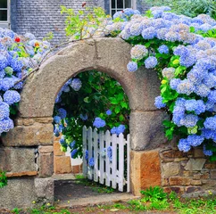 Gordijnen Blue flowers decorating a gate in Brittany, France © Boris Stroujko