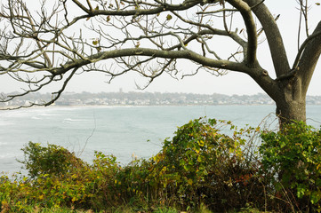 rhode island