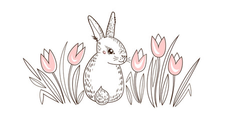 Greeting card with with white rabbit and tulips, flowers. Funny bunny. Hand draw sketch, vector illustration