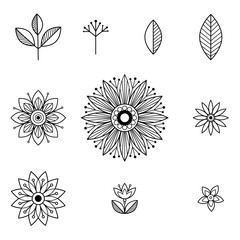 Doodle art flowers. Hand drawn herbal design elements. Vector illustration