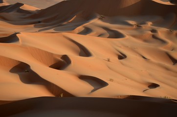 Fototapeta na wymiar Sand dunes, Sahara