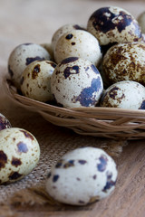 Quail eggs on a wooden table . Healthy food.