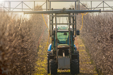 Arbeit auf einer Obstplantage mit Traktor