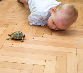 Boy playing with a turtle