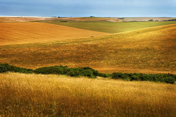 Fototapeta na wymiar beautiful golden fields and hills in autumn
