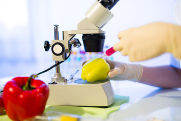 Food testing in the laboratory. GMO food