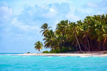 Fototapeta na wymiar beautiful tropical coast of caribbean, Saona Island, Dominican Republic