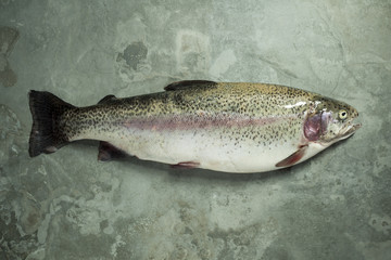 Whole fish on a green background