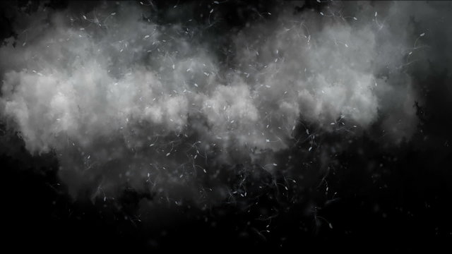 Flying dandelion against clouds time lapse