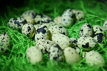 Ostern