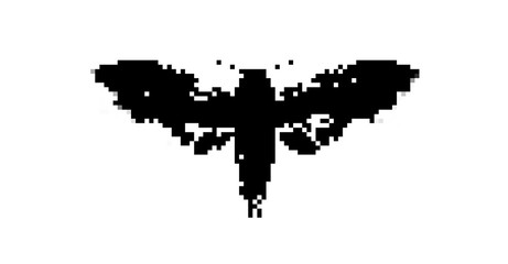Pixel Moth