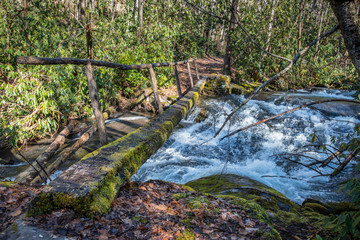 Simple Log Bridge Over Fast Moving Creek