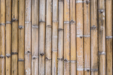 bamboo fence background