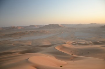 Desert panorama